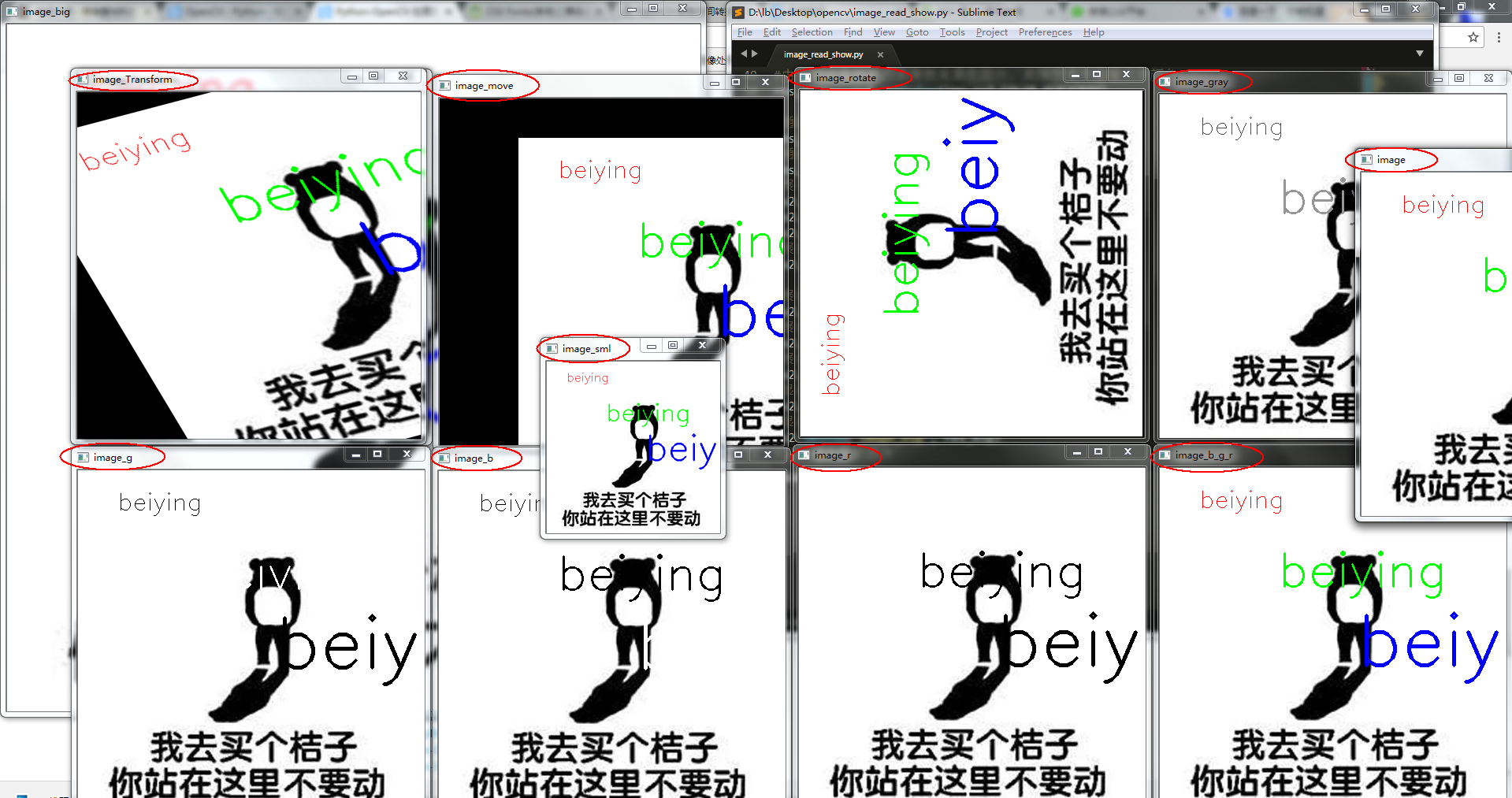 所有的